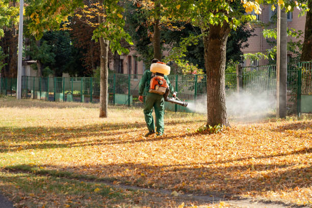 Best Residential Pest Control  in East Meadow, NY